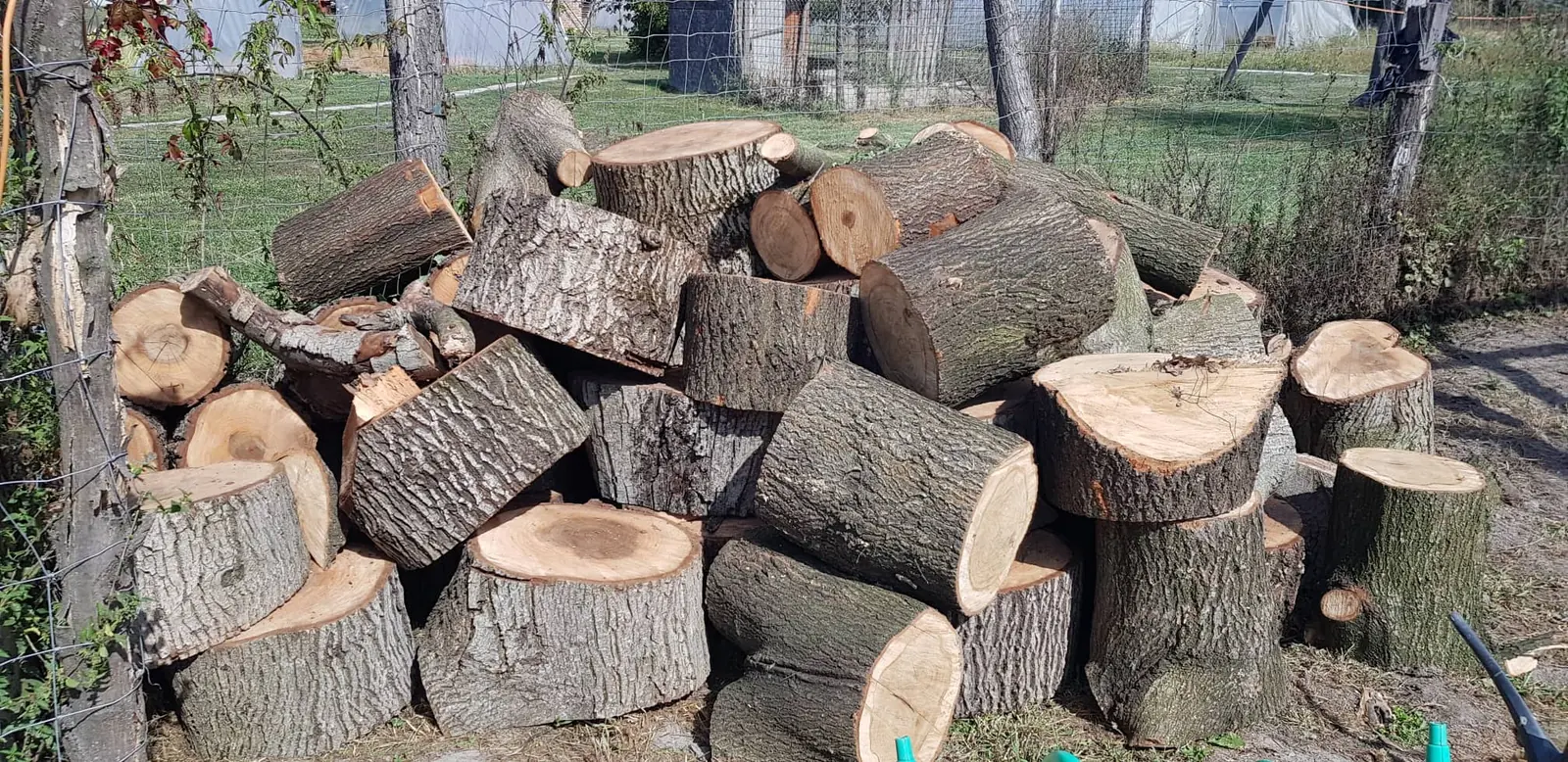 Felhasogatott tűzifa, 2019. szeptember 20.